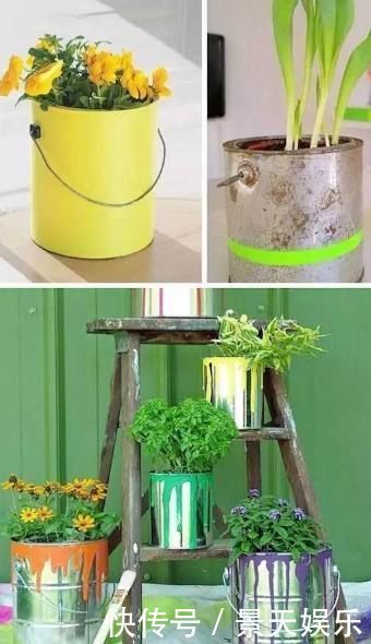 养花不用买花盆,这些生活中的废料用来养花,比花盆还好看