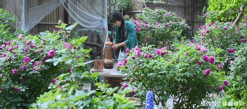 做一桌玫瑰,送给我最爱的你们~