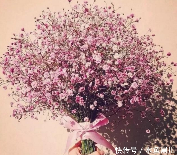 楼璹|六首“早安”诗词:风动影动心不动,独自沉香待花开