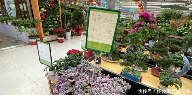 北京开了第一家绿植花卉大超市，就在南三环边上明码标价新鲜实惠