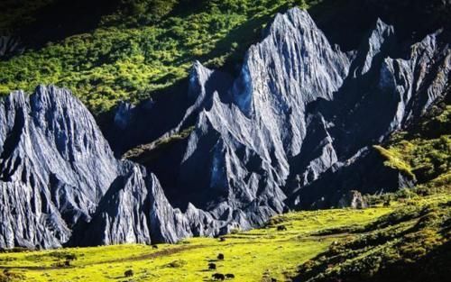 川藏线上发现石林奇景，每当换季就会变色，无数驴友惋惜错过了