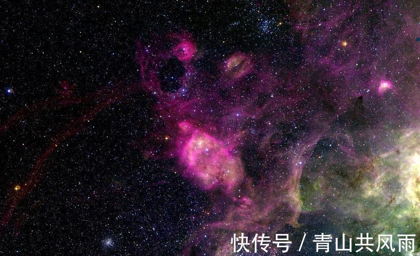 桃花星|生肖狗的四大桃花年，以及2022生肖狗的桃花运！