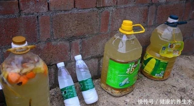 不敢用淘米水了，浇完花就死，土里都是虫！不敢用淘米水了，浇完花就死，土里都是虫！