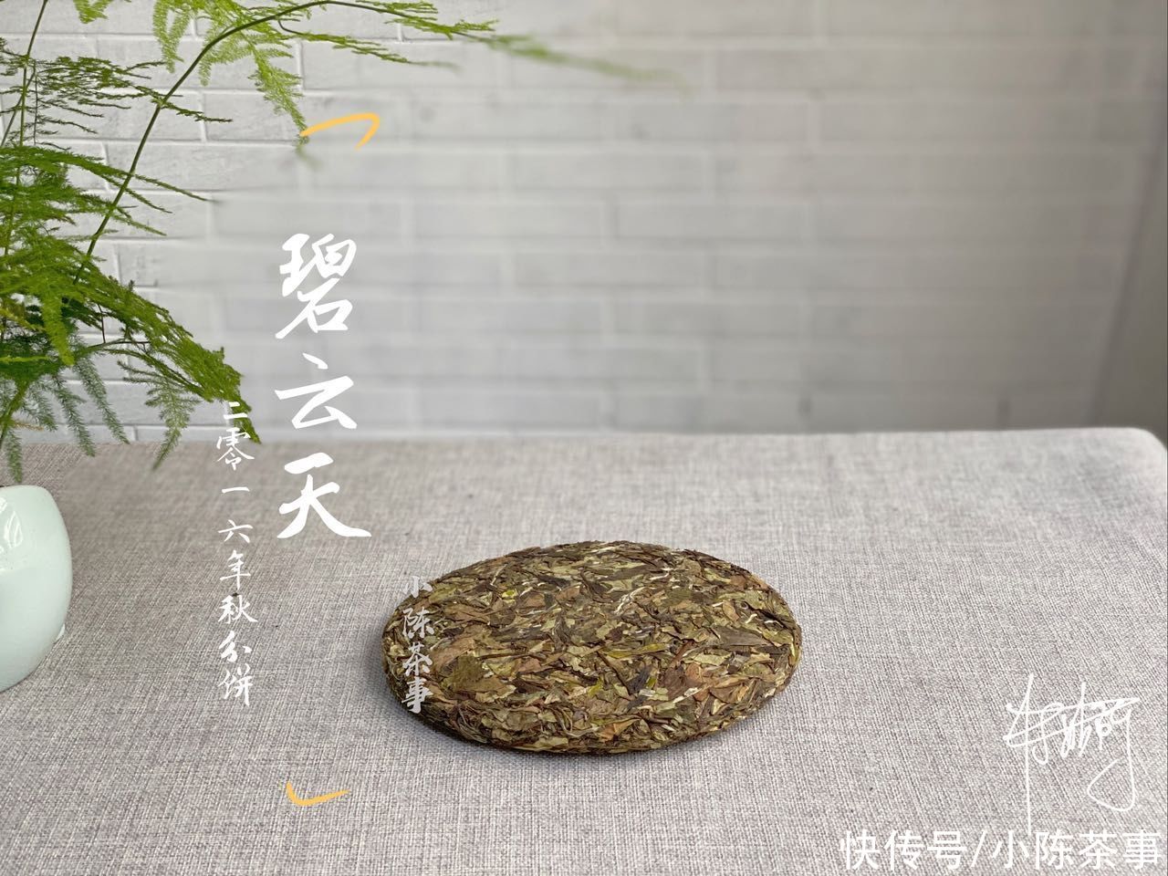 散茶|散茶和白茶饼哪个更值得收藏？听说压饼后不利于转化，是真的吗？