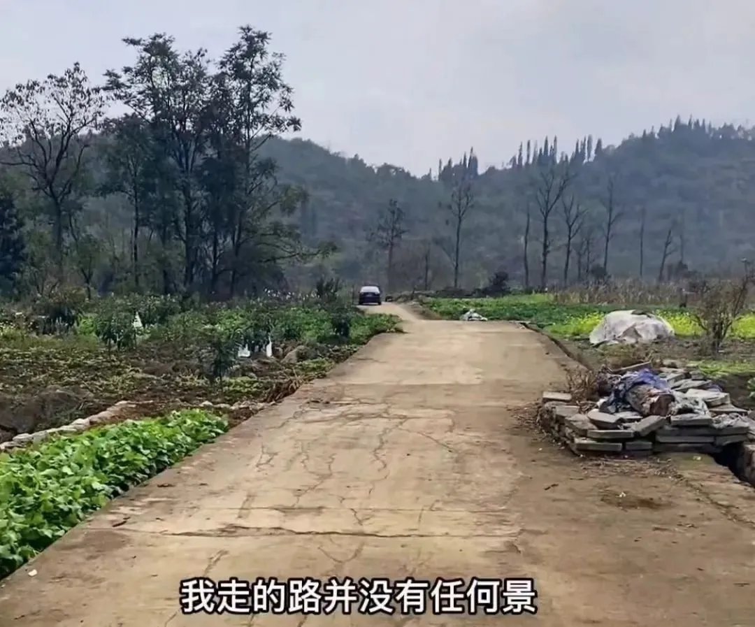 逃票|旅游博主拍视频发布“逃票”攻略！景区回应！网友热议