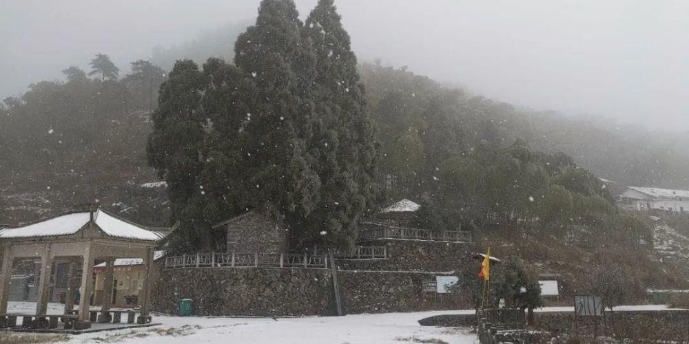 雪景|丽水这些地方下雪了，美炸了~最新雪景美图，请签收