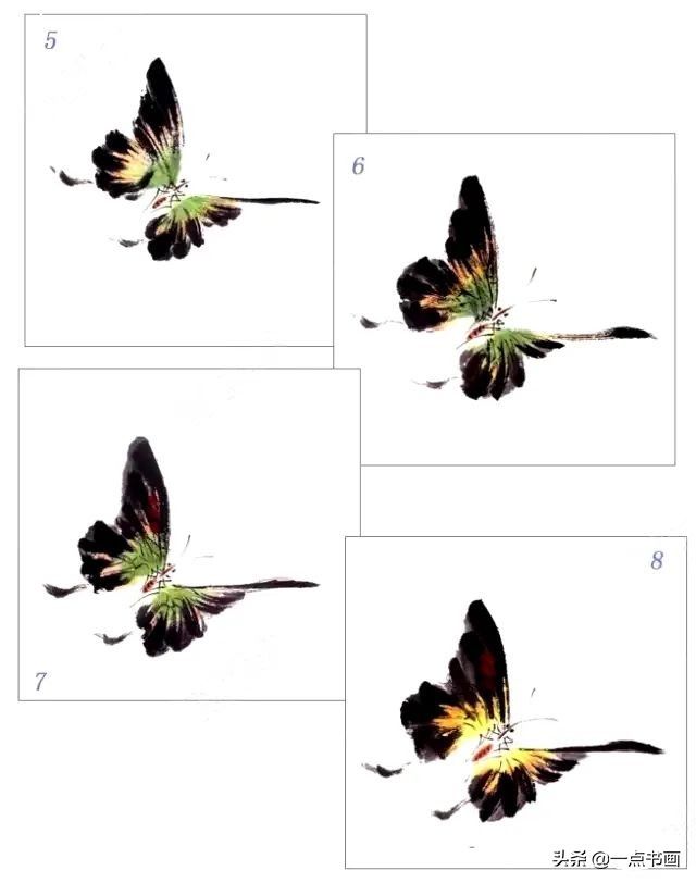 蝶斑！一学就会——写意蝴蝶画法