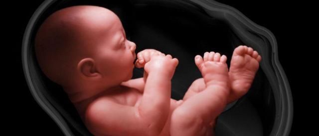 胎儿|孕期的一个习惯,导致胎儿''花式绕颈'',医生没办法只能剖了