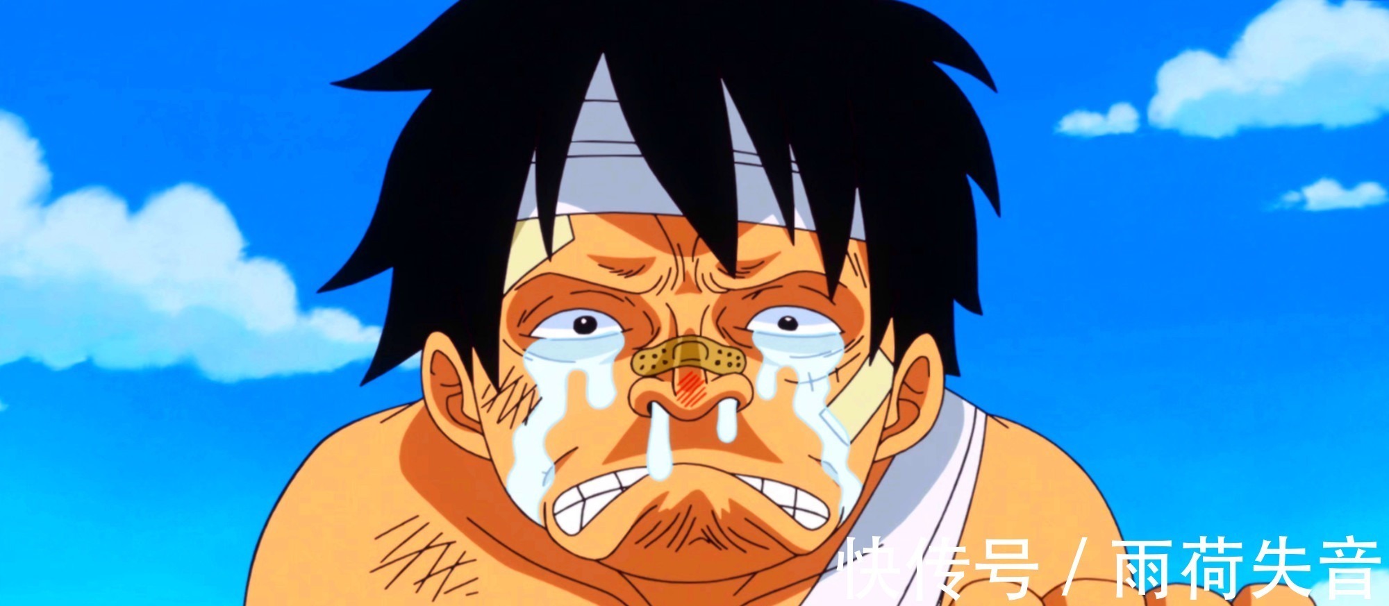 艾斯|海贼王如果白胡子不去救艾斯,海贼王可能提前完结,黑胡子团灭