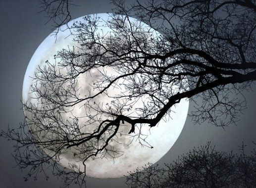 洪魔&白雪行者诗30首满山霜叶红如火,谁把相思都点燃