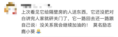 智障|人工智能or人工智障?这些AI其实是想笑死人类然后占领地球吧