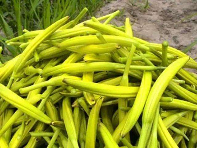 延缓衰老|40岁女性坚持吃3种食物,美容养颜、延缓衰老,好吃又不贵!