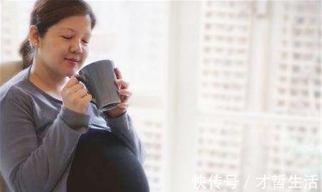 奶粉|怀孕喝牛奶还是豆浆?两者的差别可不小,根据需求喝才对