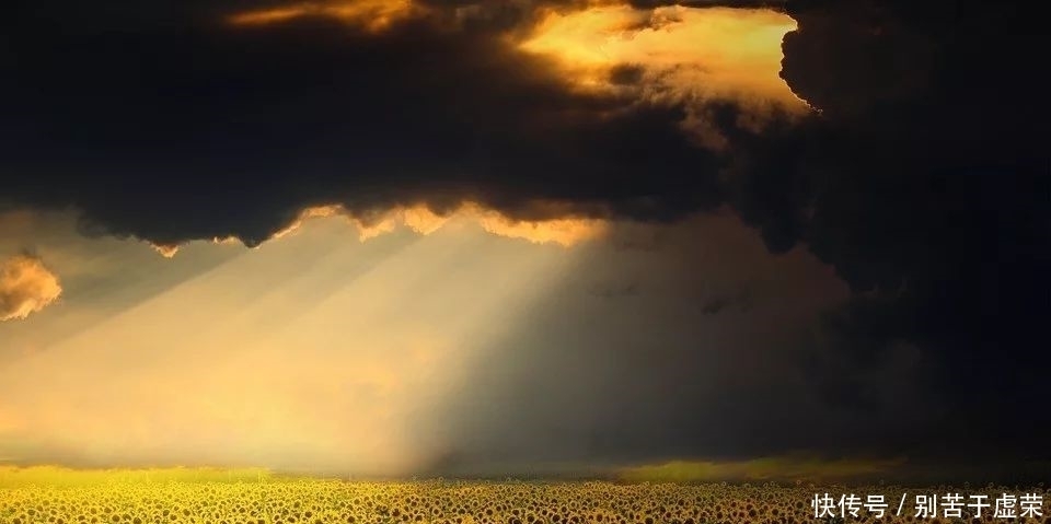 事物|做个有心人,将时间浪费在美好的事物上