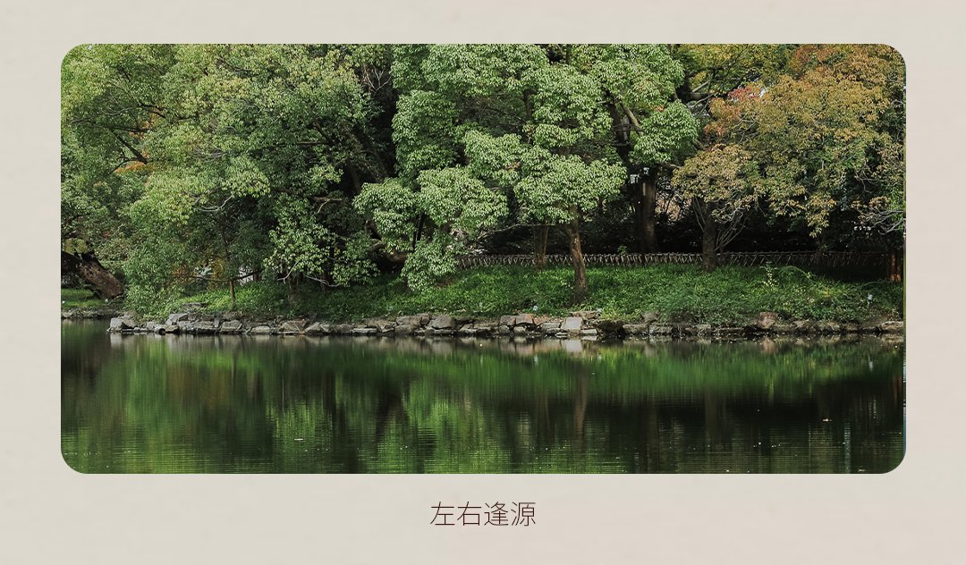 风景|冬日不可错过的宝藏园林，风景美如画！等你来打卡——