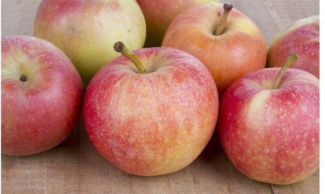 患者|高血压患者,要多吃几种常见水果,能有效降血压、降胆固醇