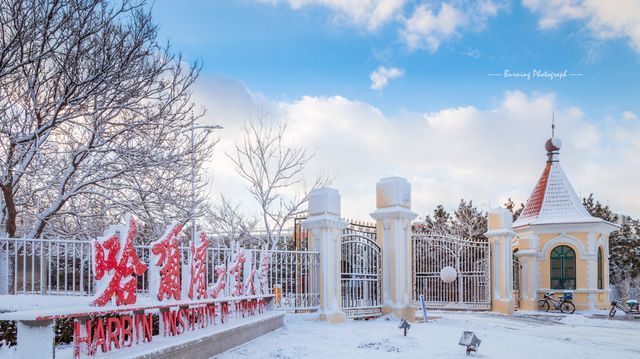 哈工大|高考成绩进入全省前450名，为什么不报西安交大，却报哈工大？