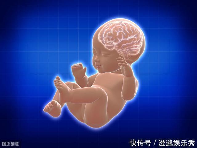 母体|宝宝真的有“宫内记忆”吗?妈妈说:3岁女儿的话,让我不可思议