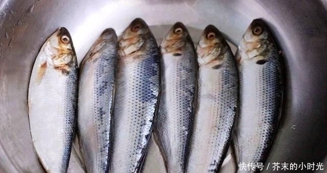 a23|它是被“误解”最多的鱼,一斤只要10元,营养价值不比甲鱼差