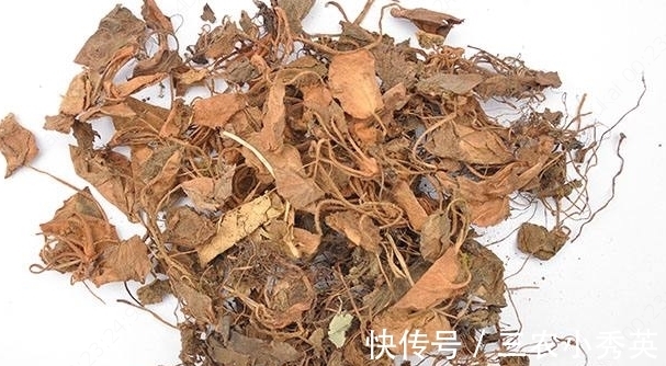 地方|农村一种长在阴湿地方的野草,很多农民不认识,晒干后40块一斤