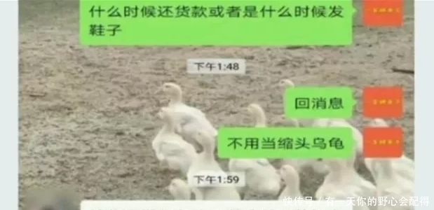 小李|90后女大学生“炒鞋”,花了十多万没收到货,女生:没那么简单