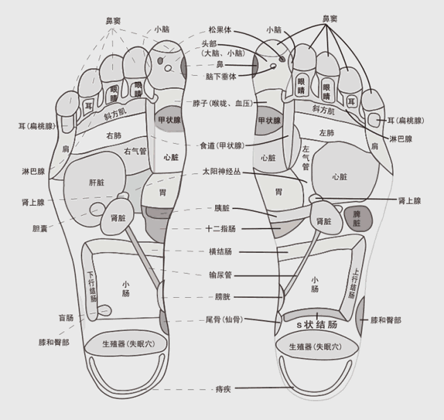 泡脚|冷从jio下寒，寒为百病之源，做好这些，没有一个冬天不可逾越！