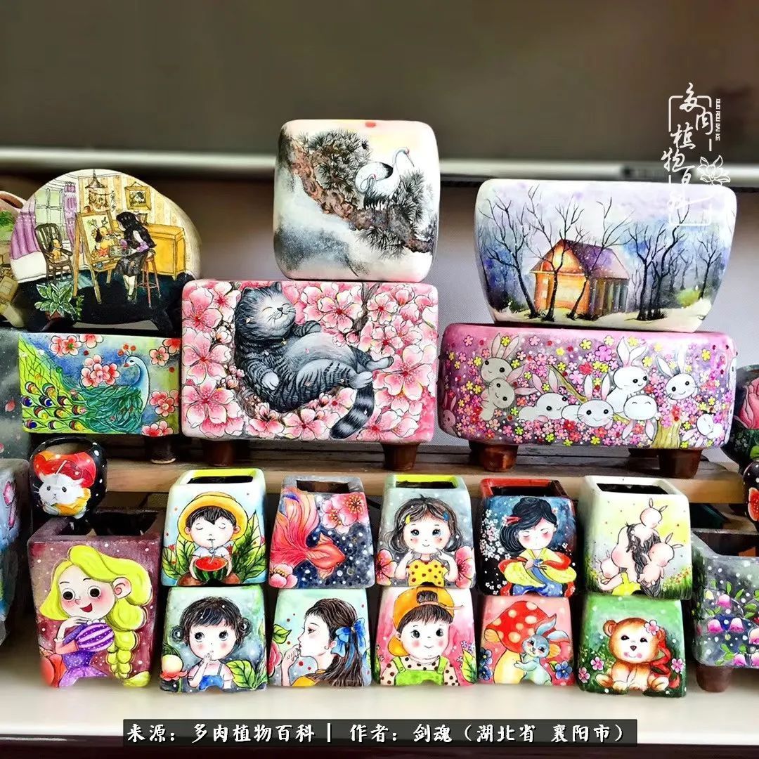 花盆|当美丽的多肉邂逅漂亮的手绘花盆,会是怎样的一种美