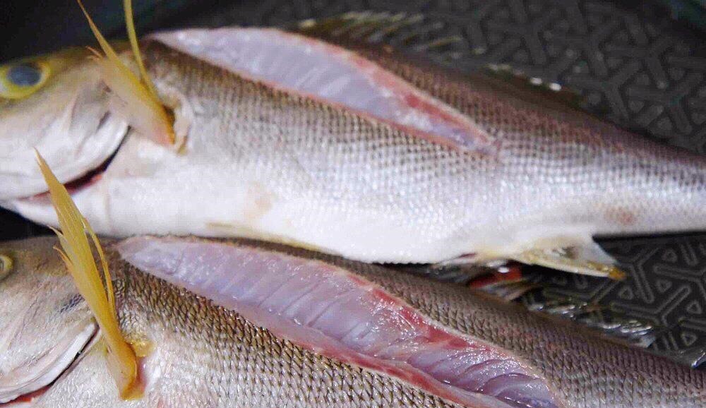 夏日,懂吃的都爱买这鱼,健脾开胃,益气助睡眠,比鲈鱼鲫鱼鲜美