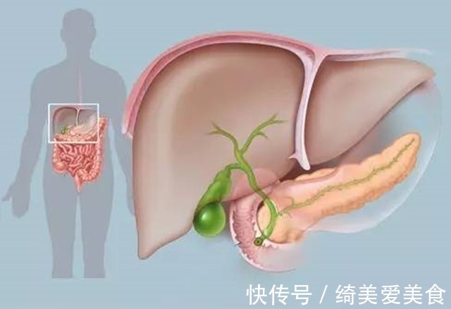 慎用|逍遥丸可降血脂,但用对才“逍遥”,3类人不能吃,有你吗?