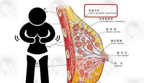 癌前病变|癌症并非突如其来身上这5个不起眼的小症状,早已通知你