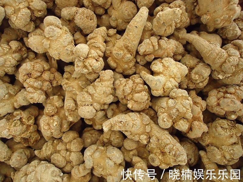 复方青黛丸|中科医学院教授:这些中药会导致肝损伤!谨慎使用,肝不好百病生