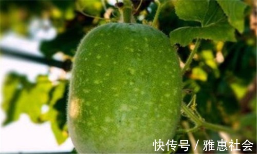 排毒|聪明的人爱吃3种食物,疏通血管,排毒消脂,刮油瘦身