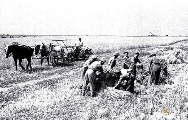 士兵|诺曼底被解放后的老照片:欢呼的法国人、被俘的德军士兵一脸悲伤