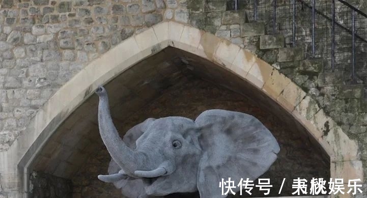 铁丝&她用镀锌铁丝,创作栩栩如生的动物雕塑,逼真程度令人惊讶