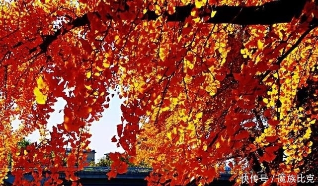 (原创)这就是中国老百姓!