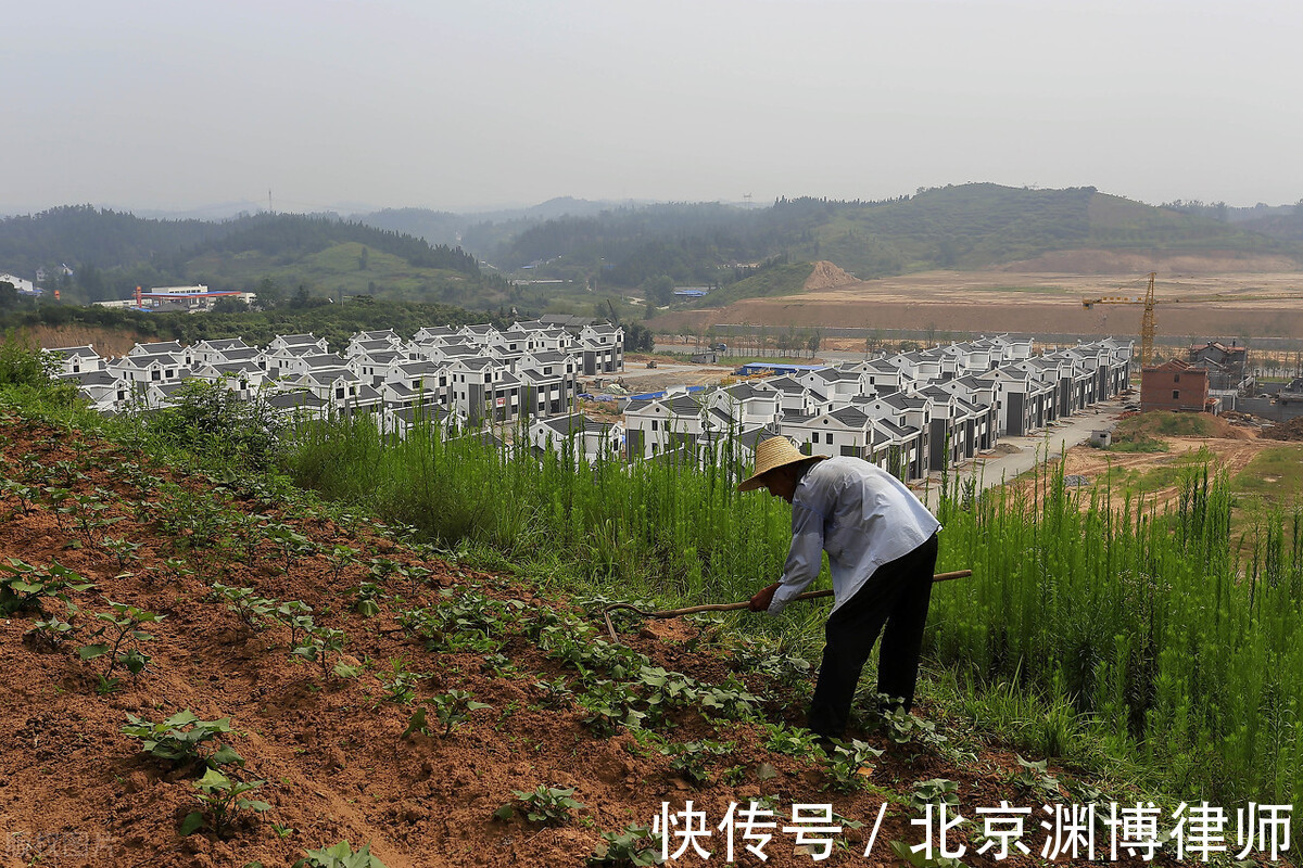 规定|农村土地被征收百姓可以分到多少钱？