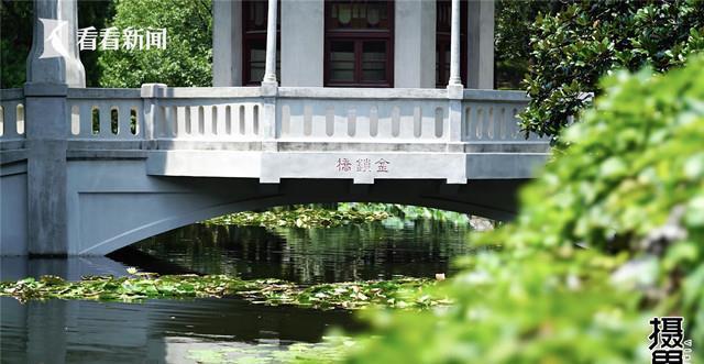 肺科医院|藏在肺科医院里的“宝藏花园”