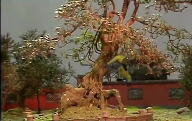 人参果#《西游记》里, 镇元子为何成不了仙 原来如此!