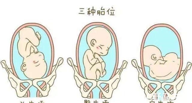 显怀|准妈妈肚子何时“偷偷”变大的孕期是否显怀,跟4个因素有关