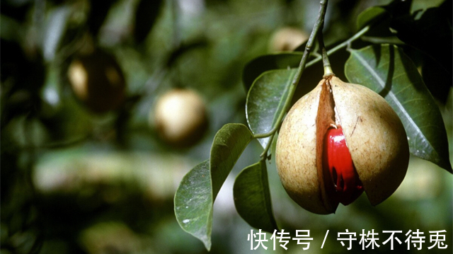 25个冷知识：虽然用到的机会不多，但是可以增加谈资的奇怪知识