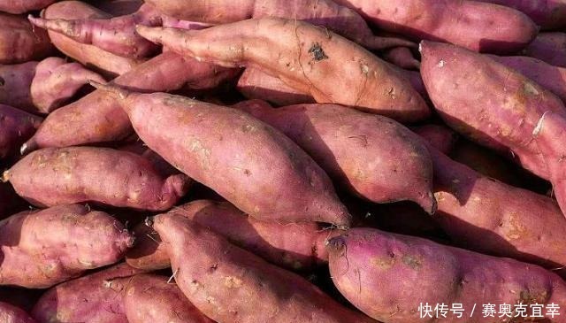 学会|保存红薯,直接丢地上是大错!学会这招,放半年都不坏,越放越甜