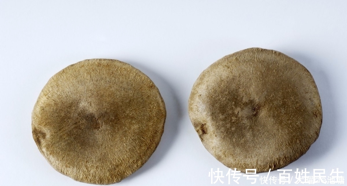 苍耳子|是药三分毒,泡药酒更要谨慎,医生提醒:4种药材严禁泡酒!