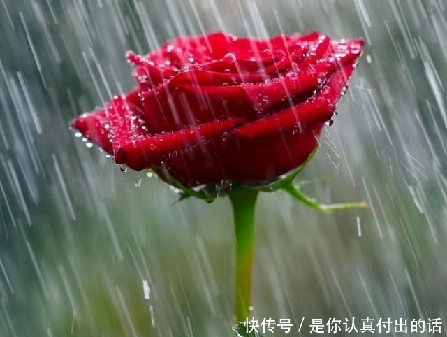 |冬至了,一切安好