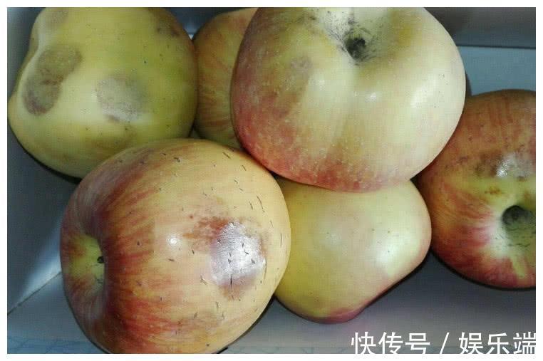 吃了对身体不好的四种食物,榨菜上榜,图4很多人舍不得扔