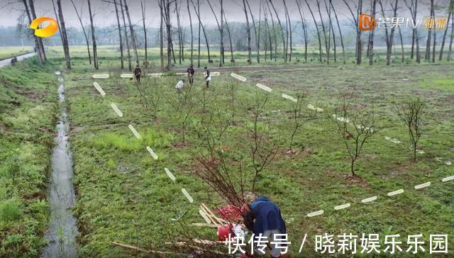 《向往的生活》顺利到不太真实,“下期预告”一细节戳破节目套路