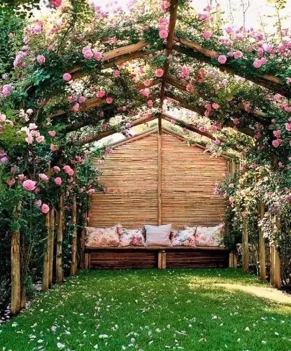 我们心中的小院, 每晚睡前都幻想着它的模样