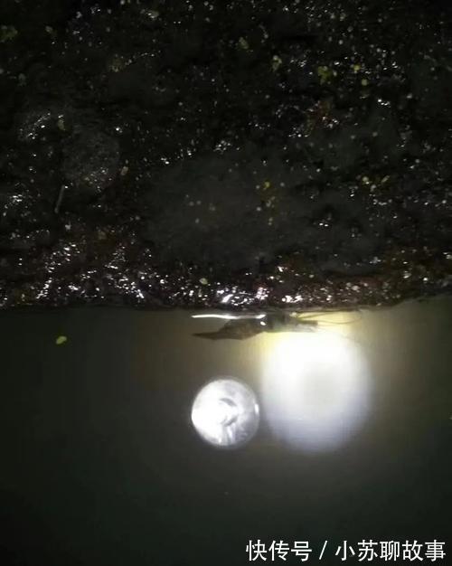 成果|女网友晒钓虾成果,赢来网友一片喝彩!