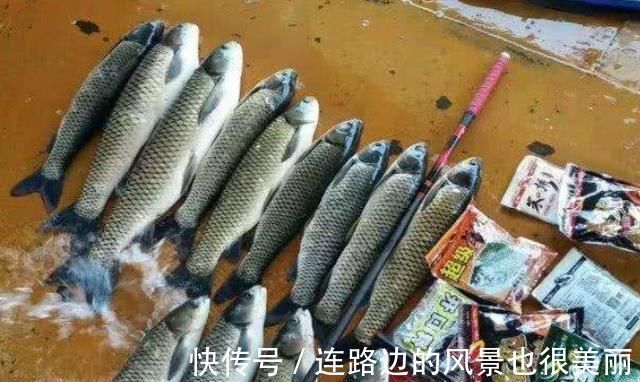 绝招|老钓手这绝招果然够狠“对付”大草鱼绰绰有余，后悔现在才知道