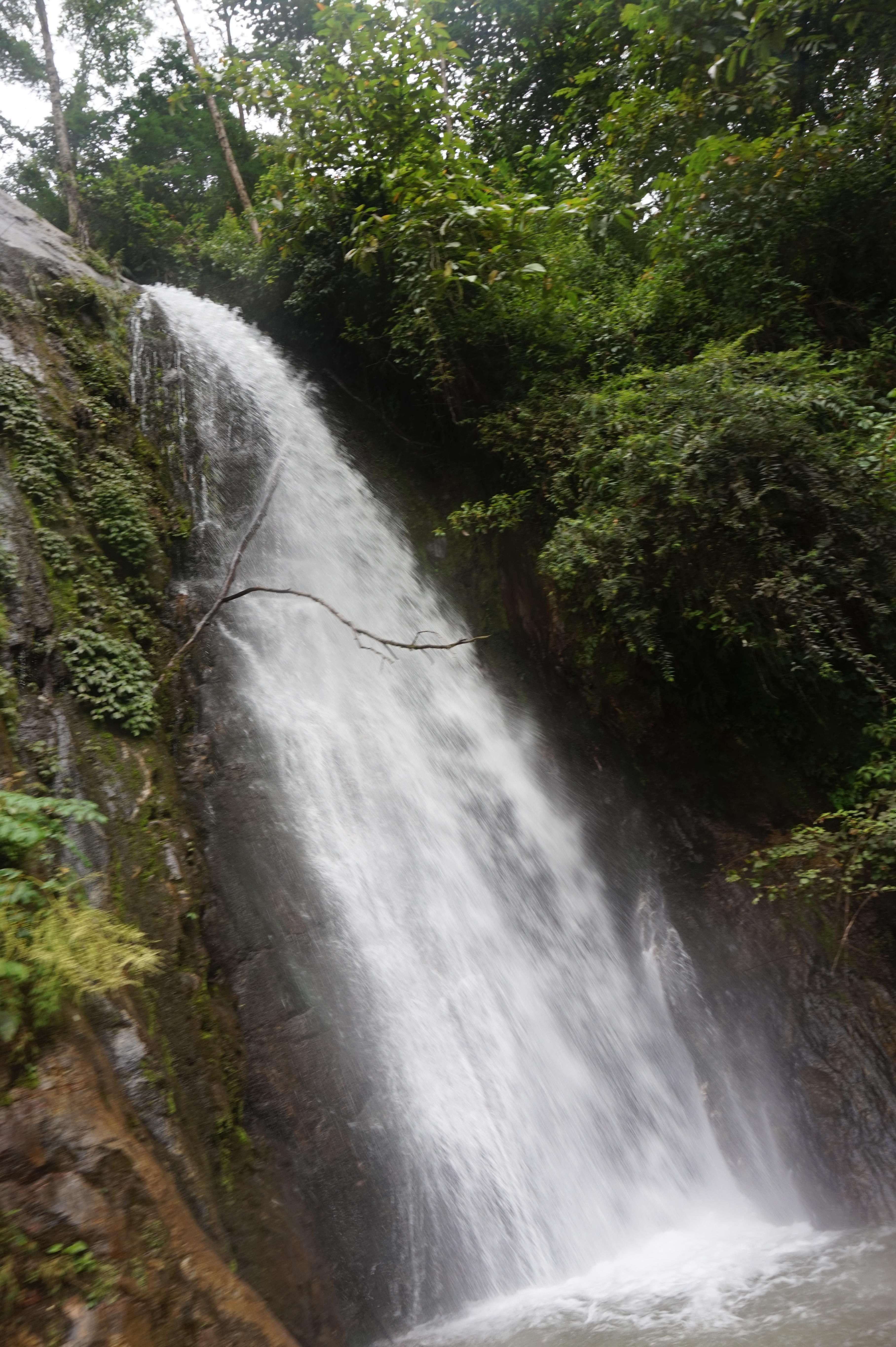 难忘的历程川滇藏青甘蒙游记32，目标莲花圣地墨脱