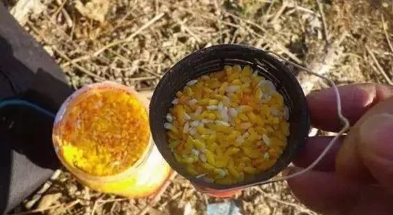 打窝何必买颗粒，2元一斤的小鸡饲料打窝，大鱼进窝快，轻松爆护